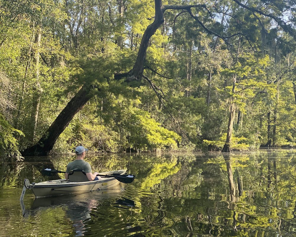 new orleans kayak swamp tours photos