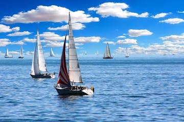 sailing boats in harbor