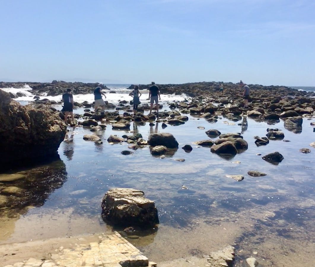 Protection sought for San Pedro tide pools being hit by over-limit