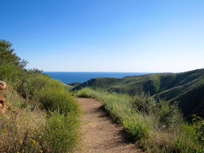 Malibu Waterfall Hike | LA Hike Tours | Bikes and Hikes LA