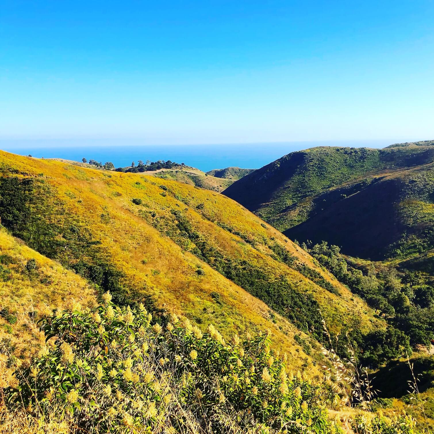 The 5 Best Hikes In LA | Los Angeles Hikes | Bikes And Hikes LA