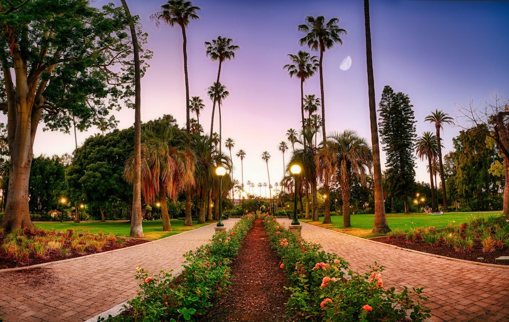 a view of a path in beverly hills available on our los angeles tours