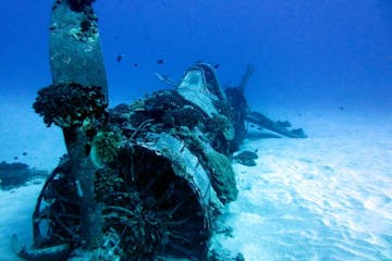 WWII Corsair Fighter wreck on Oahu, Hawaii