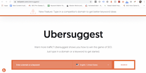 Ubersuggest search example