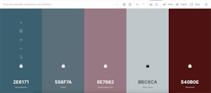 screenshot of a color palette created on Coolors