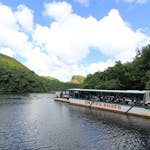 Wailua River Boat