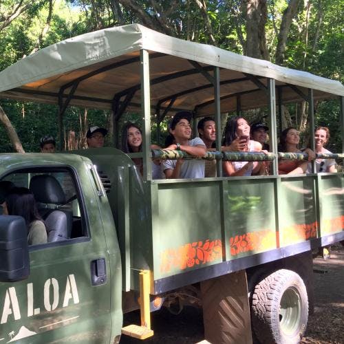 Kualoa Jungle Expedition Tour