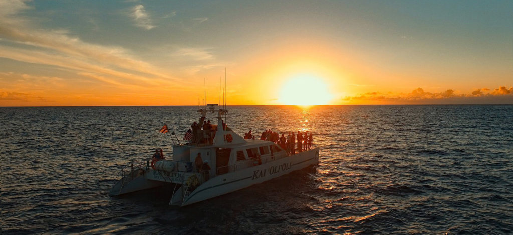 ocean joy cruises sunset snorkel