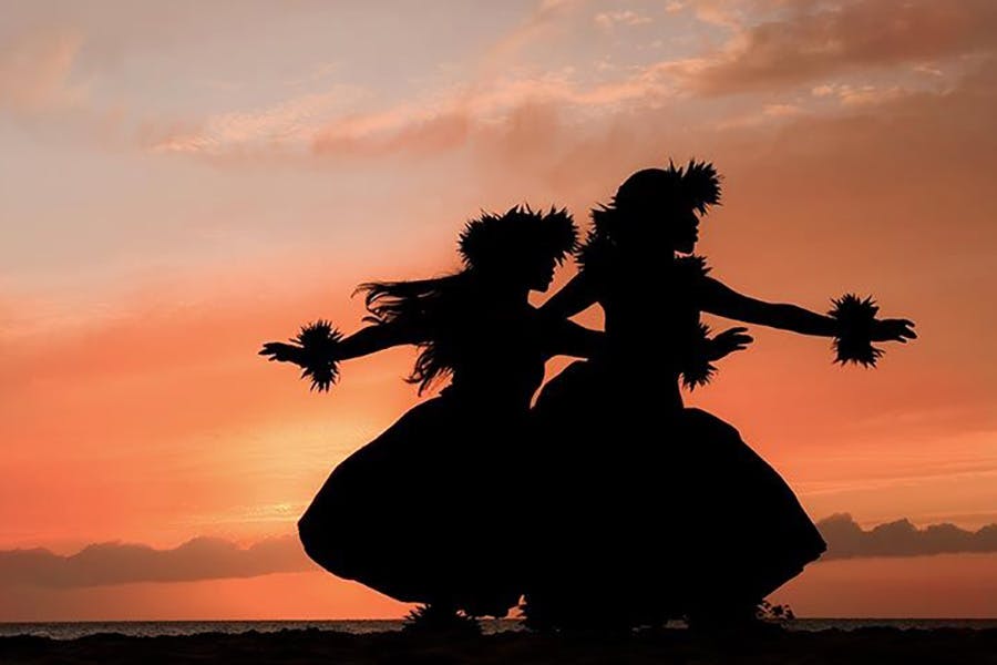 voyage of the pacific luau silhouette