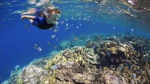 Child snorkeling over colorful coral reef