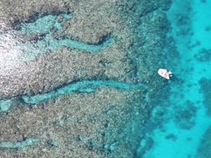 Fringe reef at Lady Musgrave Island with snorkellers