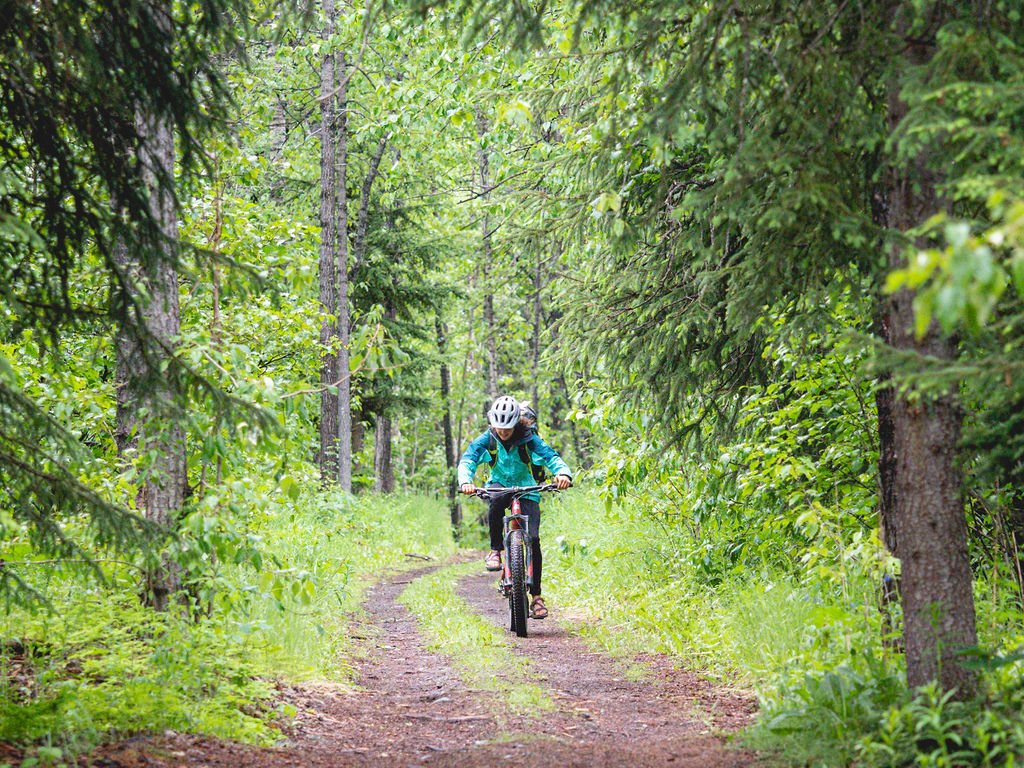 a man riding a bike down a dirt path in a forest