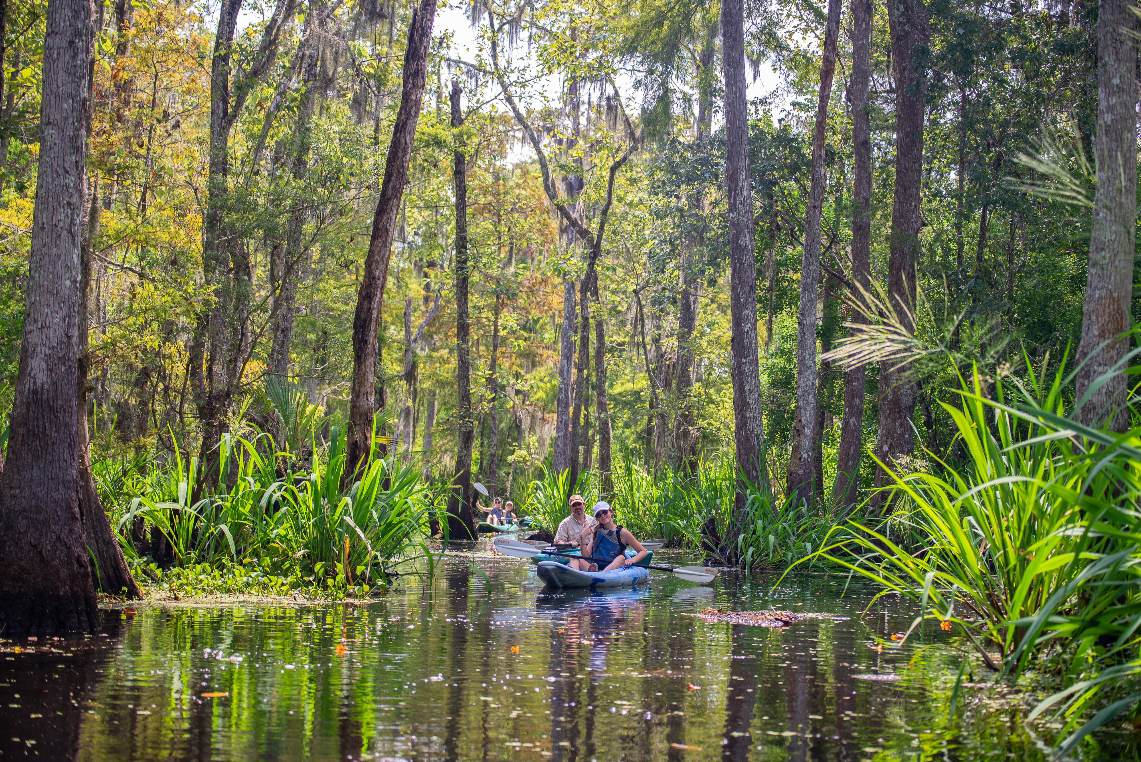 Kayaking in Manchac, kayaking swamp tour, new orleans kayak tour