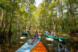 kayak swamp tour, kayak swamp tour new orleans, new orleans kayaking, new orleans kayaking tour, new orleans kayak swamp tour