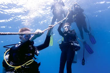 Divers hanging onto guide rope under water