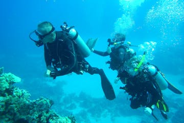 Divers underwater in Hawaii