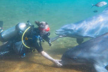 Ocean Hunter Viking Bags - SUPER - Dolphin Scuba Diving