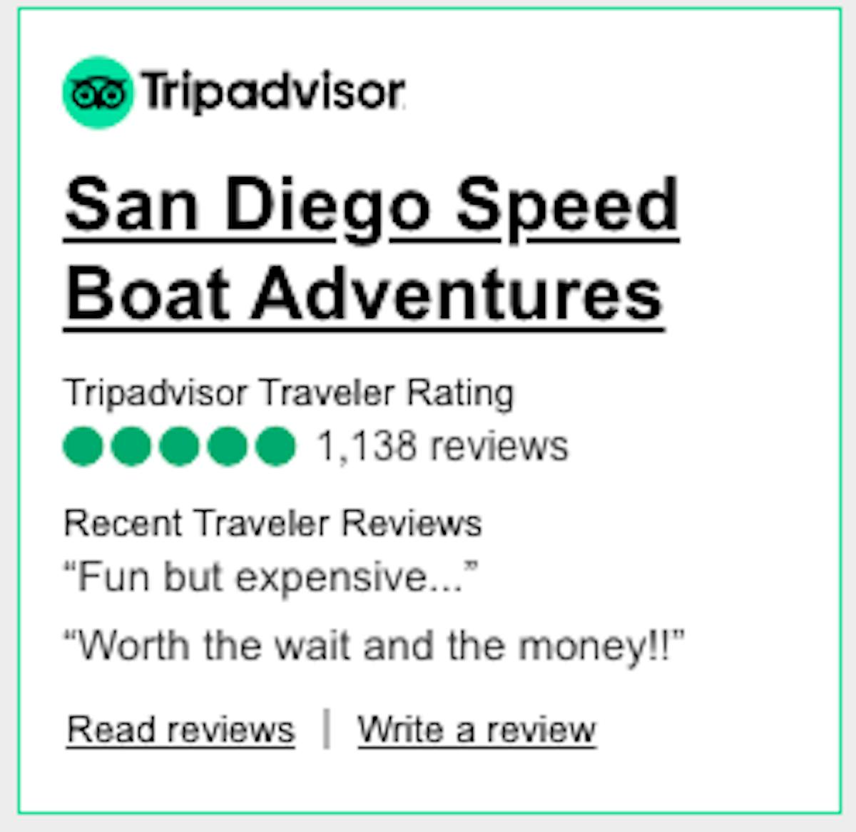 Where to See Seals in San Diego - San Diego Speed Boat Adventures