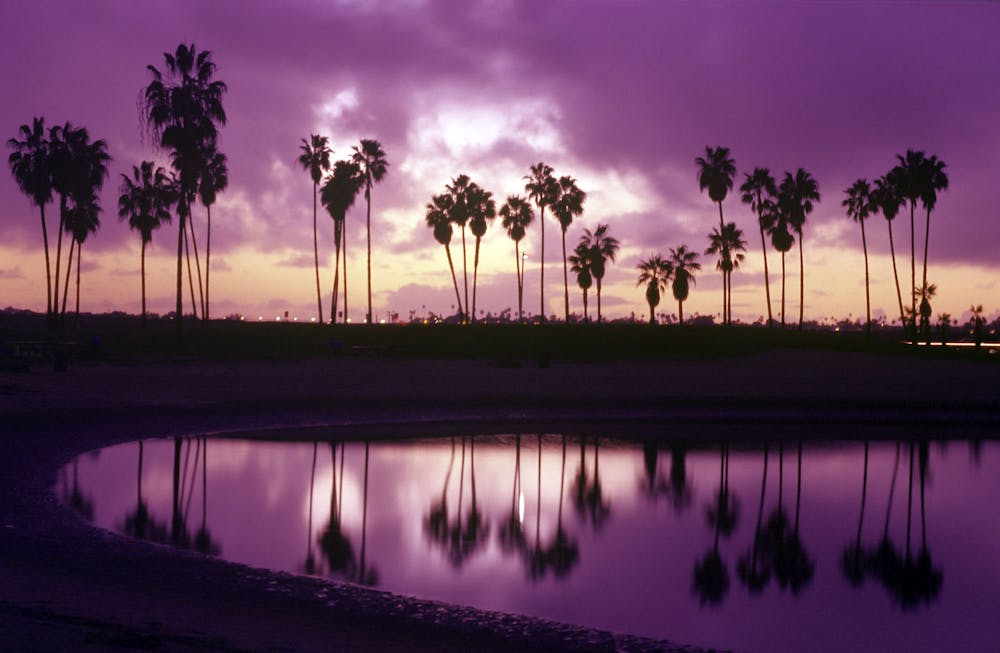 The sun sets on Mission Bay in San Diego over palm trees on a cloudy day