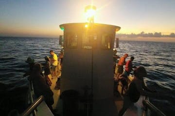 Summer Night Fishing Key West