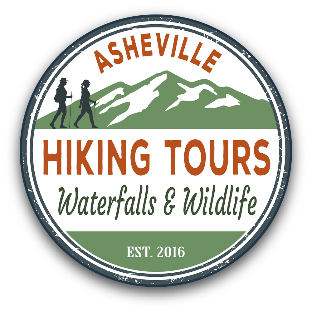 best hikes asheville nc