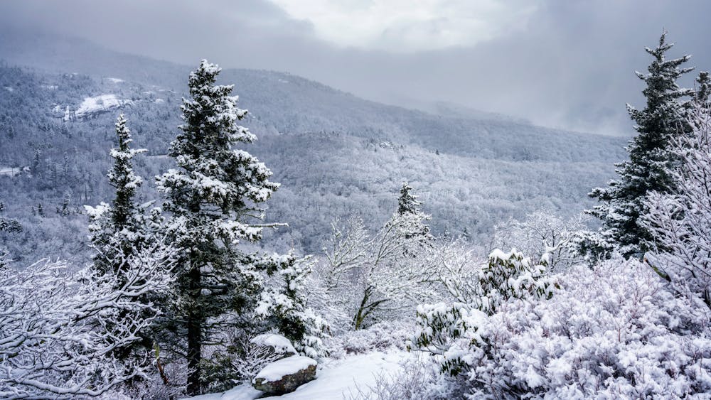 Snow-covered evergreen trees on the Blue Ridge Parkway