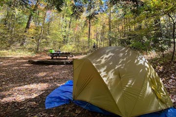 a tent in a wooded area