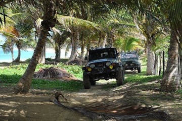Jeeps on an island.