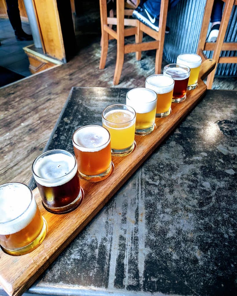 flight of eight different colored beers