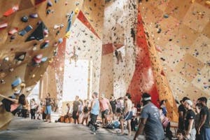 your team will love rock climbing