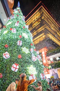 a large christmas tree in the city