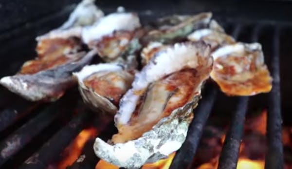 a close up of oysters cooking in their shells on the grill