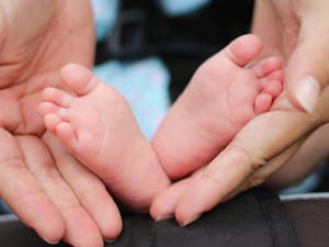 a hand holding baby feet
