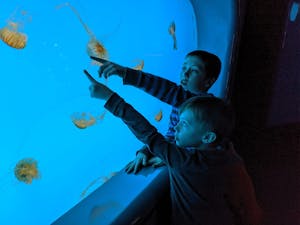 Two Boy Touching Aquarium Glass with jellyfish swimming buy