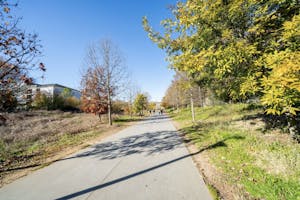 a walking path nature trail in Atlanta