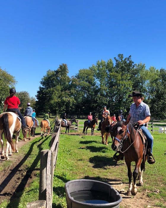 Horse riding near me