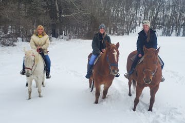 a group of people riding on the back of a horse in the snow