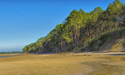 Island Activities Cumberland Island Ferry - 