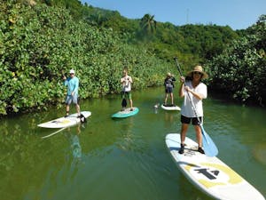 Paddle boarders exploring river inlets in Puerto Rico