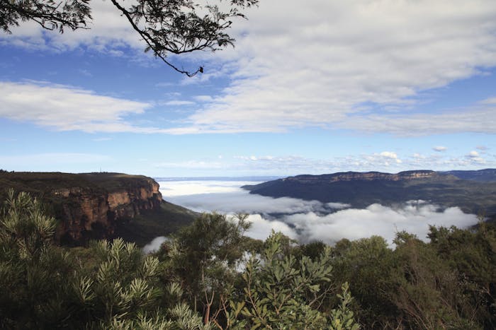 Private Blue Mountains And Winery Day-Trip From Sydney, 57% OFF