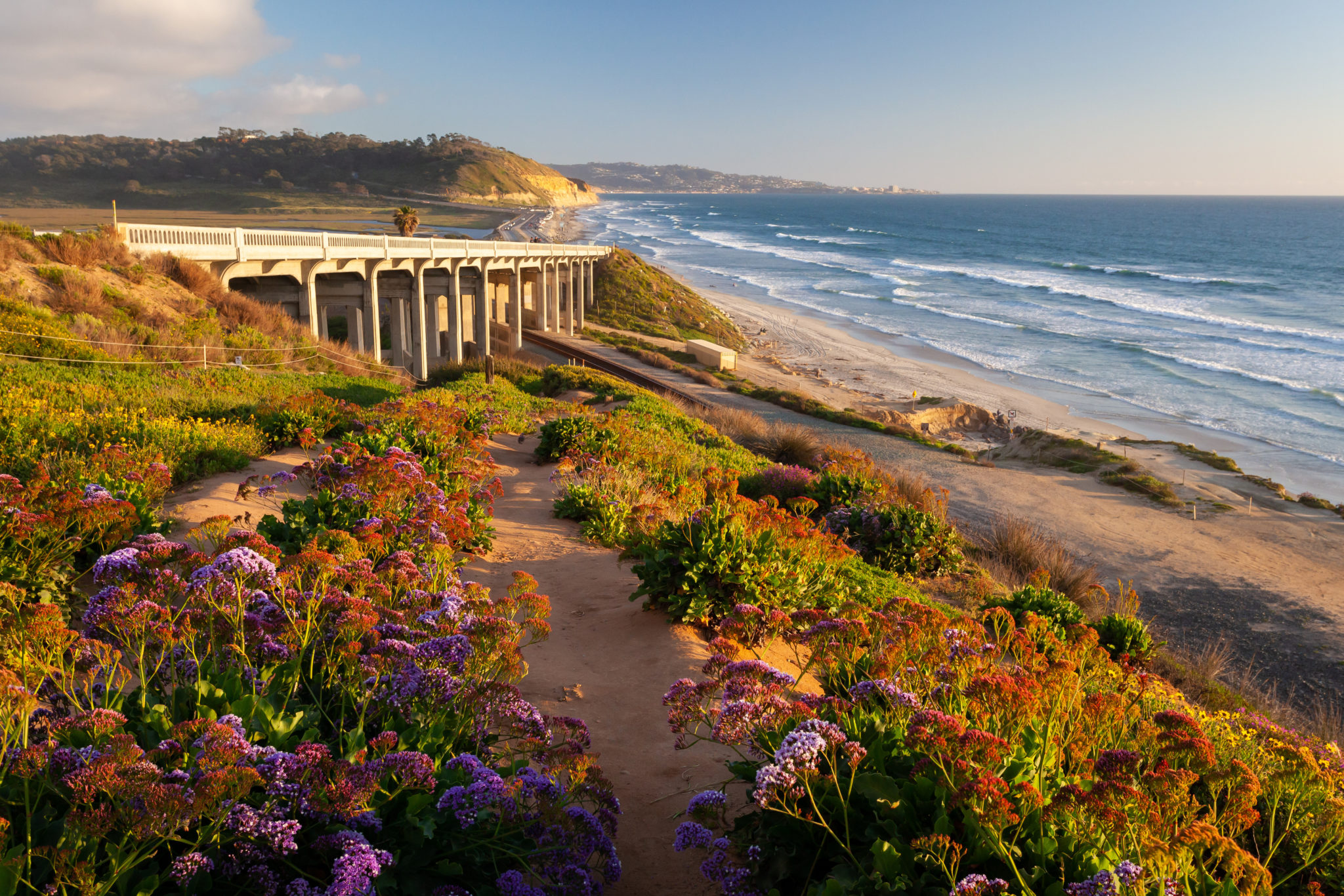 The Most Beautiful Places In San Diego To Spend Time In Nature  Next Level Sailing