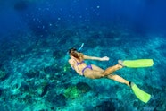 Best Snorkeling Spots In San Diego Top Spots For Snorkeling In San 