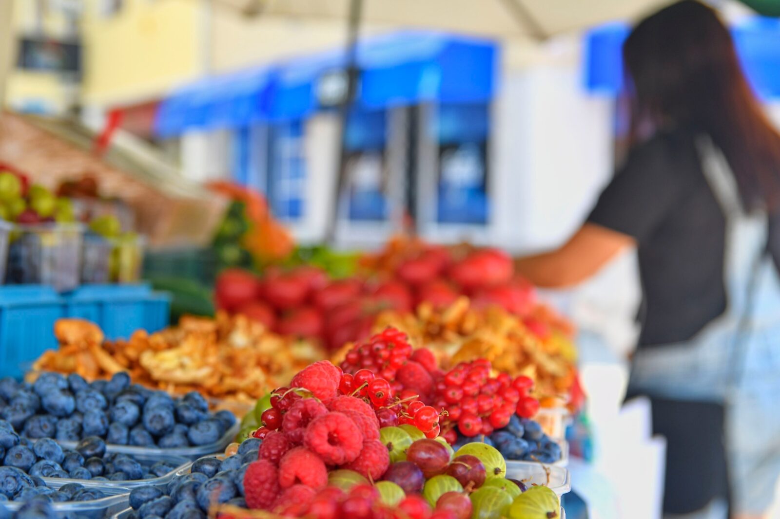 guide-to-san-diego-s-farmers-markets-best-farmers-markets-in-san