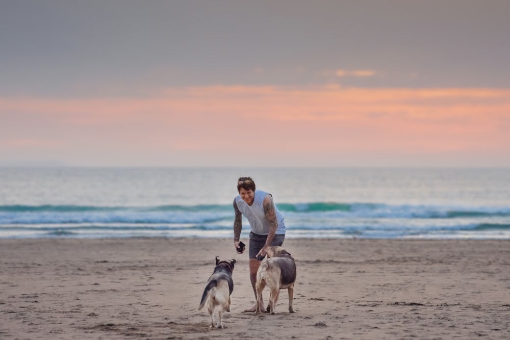 a man and a dog on a beach