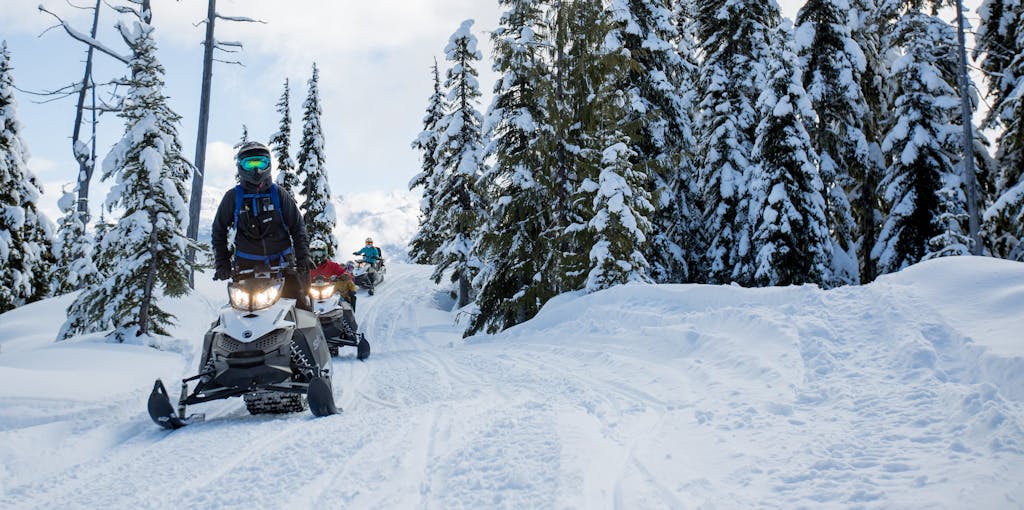 snowmobilers surrounded by snow covered trees