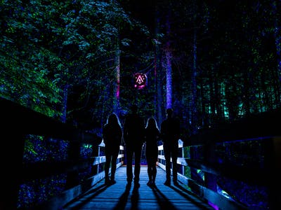 Whistler night walk image, people highlighted by colourful light in forest