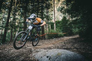 mountain biker in woods