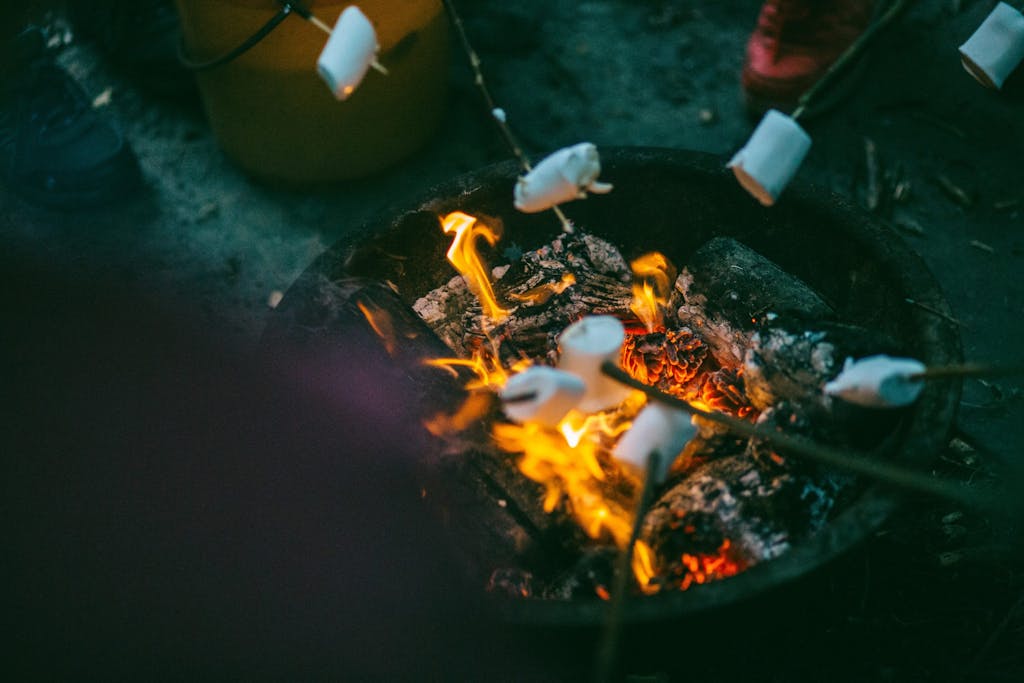 camp fire and marshmellows