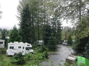 campers parked in between trees in a forest around Whistler