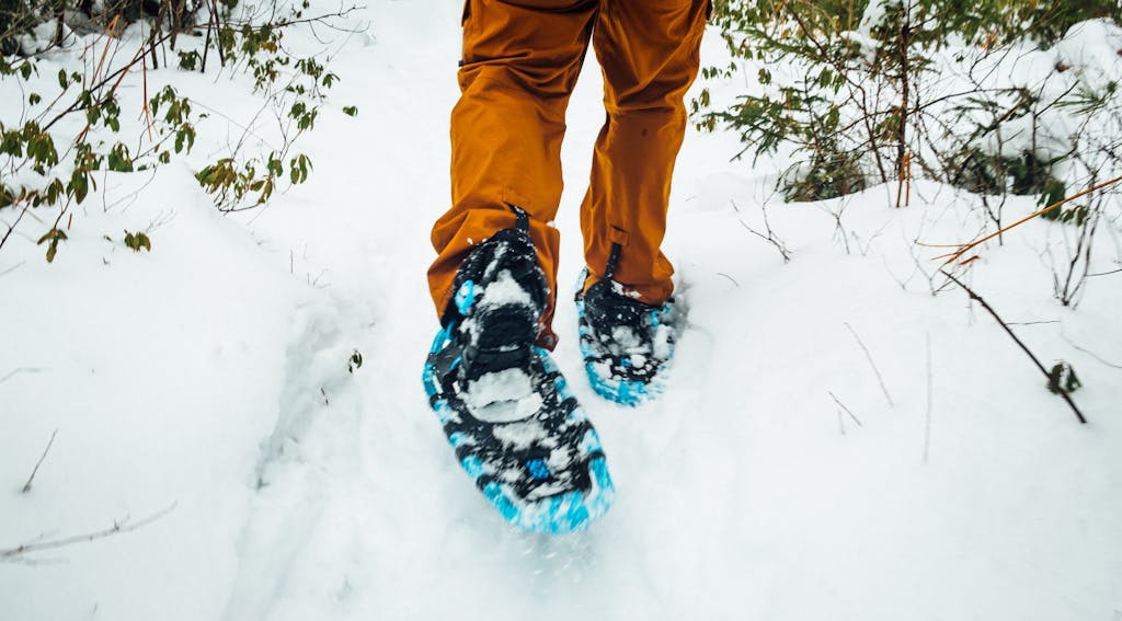 View of someone walking away on snowshoes